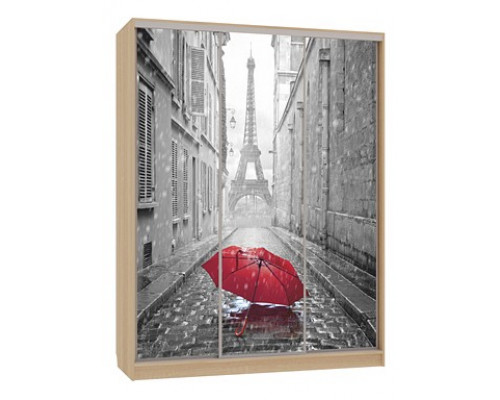 Шкаф-купе Бассо 7-600 08