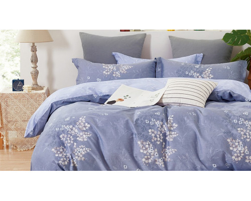 Постельное белье евростандарт Satin de Luxe 791-SK