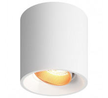 Накладной светильник Denkirs Dk309 DK3090-WBR