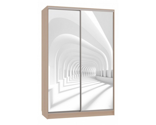 Шкаф-купе Рио 7-600 58