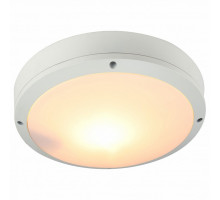 Накладной светильник Arte Lamp City A8154PF-2WH