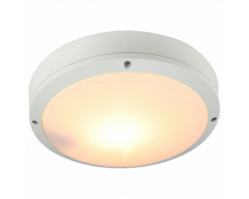 Накладной светильник Arte Lamp City A8154PF-2WH