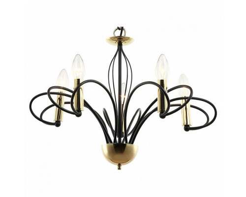 Подвесная люстра Lussole Powell