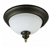 Накладной светильник Arte Lamp Bonito A9518PL-2BA