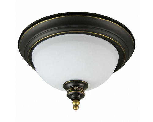 Накладной светильник Arte Lamp Bonito A9518PL-2BA