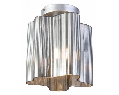 Накладной светильник ST-Luce Onde