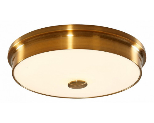 Накладной светильник Citilux Фостер-2