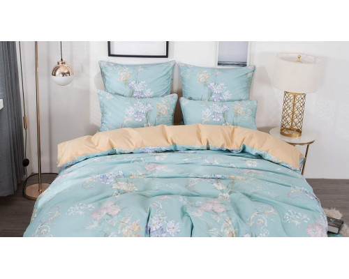 Постельное белье евростандарт Эви