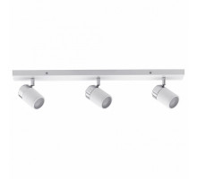 Спот Paulmann Zyli 66713