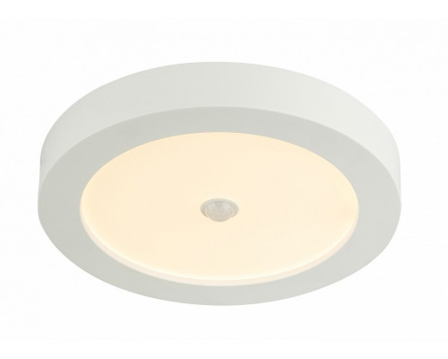 Накладной светильник Globo Paula 41605-18S