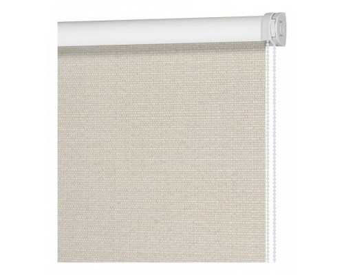 Штора рулонная (50х160 см) Блэкаут Шалюр