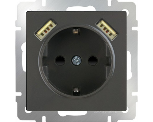 Розетка с заземлением, шторками и 2хUSB, без рамки Werkel WL07 WL07-SKGS-USBx2-IP20