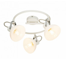 Спот Globo Amory 54657-3