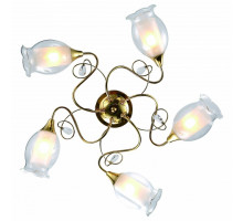 Потолочная люстра Arte Lamp Mughetto A9289PL-5GO