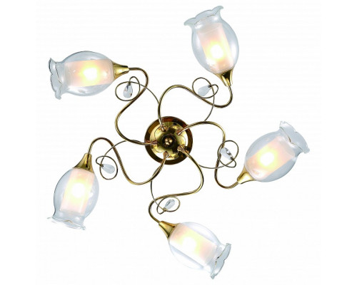 Потолочная люстра Arte Lamp Mughetto A9289PL-5GO