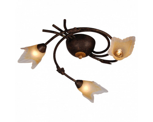 Потолочная люстра Arte Lamp Joy A1050PL-3BR