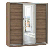 Шкаф-купе Экспресс Медиум (1 зеркало) Трио 2400x600x2400
