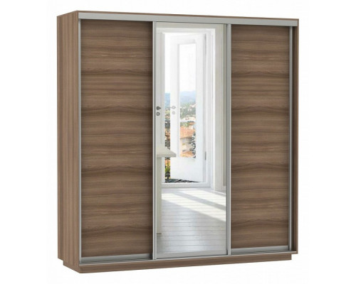 Шкаф-купе Экспресс Медиум (1 зеркало) Трио 2400x600x2400