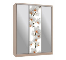 Шкаф-купе Бассо 9-600 83