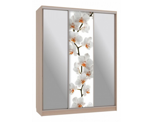 Шкаф-купе Бассо 9-600 83