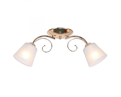 Накладной светильник Imex MD.0361 MD.0361-2-S FGD