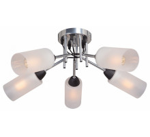 Потолочная люстра Vitaluce  V4896-9/5PL