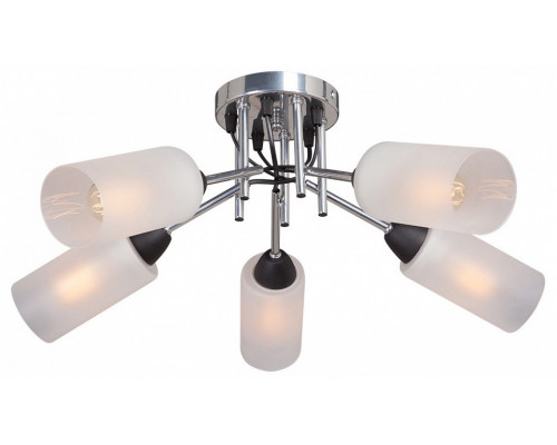 Потолочная люстра Vitaluce  V4896-9/5PL