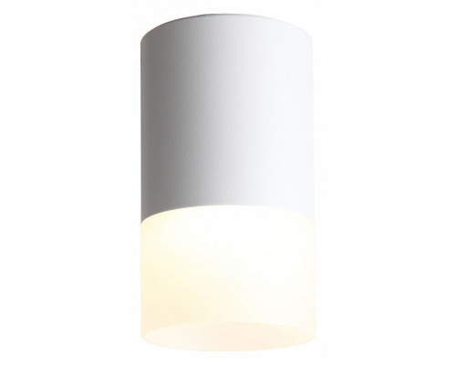 Накладной светильник ST-Luce Ottu