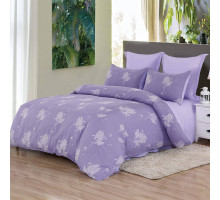 Постельное белье евростандарт Урсула №19