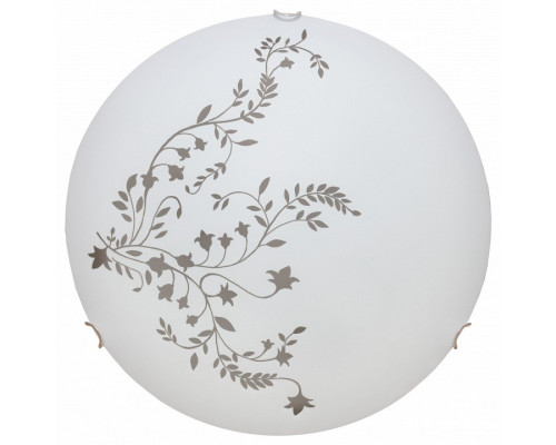 Накладной светильник Arte Lamp Symphony A3820PL-1CC