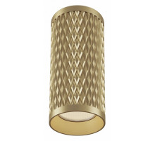 Накладной светильник Maytoni Alfa C036CL-01G