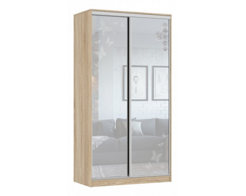 Шкаф-купе Рио 4-600 бабочки