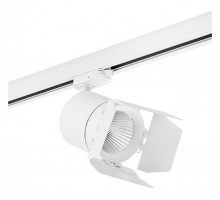 Светильник на штанге Lightstar Canno C156496