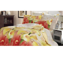 Постельное белье двуспальное B-152