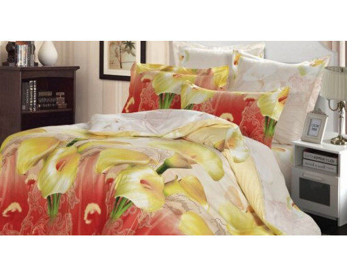 Постельное белье двуспальное B-152