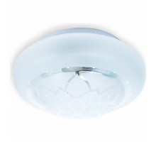 Накладной светильник TopLight Cori TL9550Y-02WH