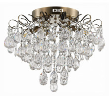 Потолочная люстра EVOLUCE Kame SLE160102-06