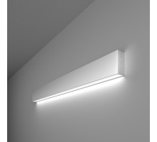 Накладной светильник Elektrostandard 101-100-30-78 a041491