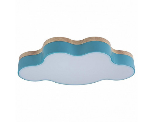 Накладной светильник Loft it Axel 4 10005/30 Blue