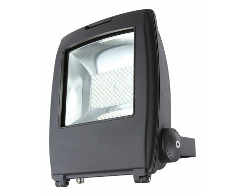 Настенный прожектор Globo Projecteur I 34222