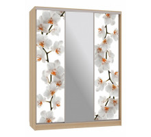 Шкаф-купе Бассо 10-600 83