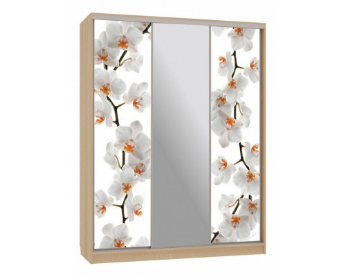 Шкаф-купе Бассо 10-600 83