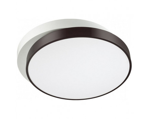 Накладной светильник Lumion Agatha 4509/72CL