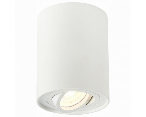 Спот ST-Luce Torus