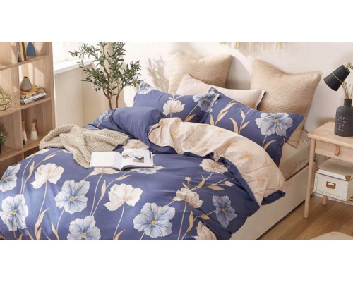 Постельное белье евростандарт C-309