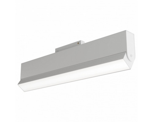 Светильник на штанге Maytoni Basis TR013-2-20W3K-W