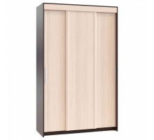 Шкаф-купе ШР-156.3