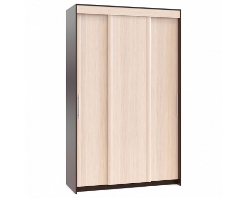 Шкаф-купе ШР-156.3