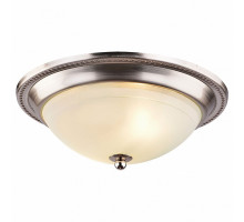 Накладной светильник Arte Lamp Alta A3011PL-2SS