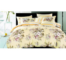 Постельное белье евростандарт RS-249
